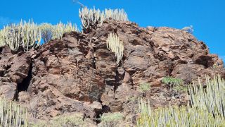 2024-02-GranCan-Playa Del Aguila-Trek-43.jpg